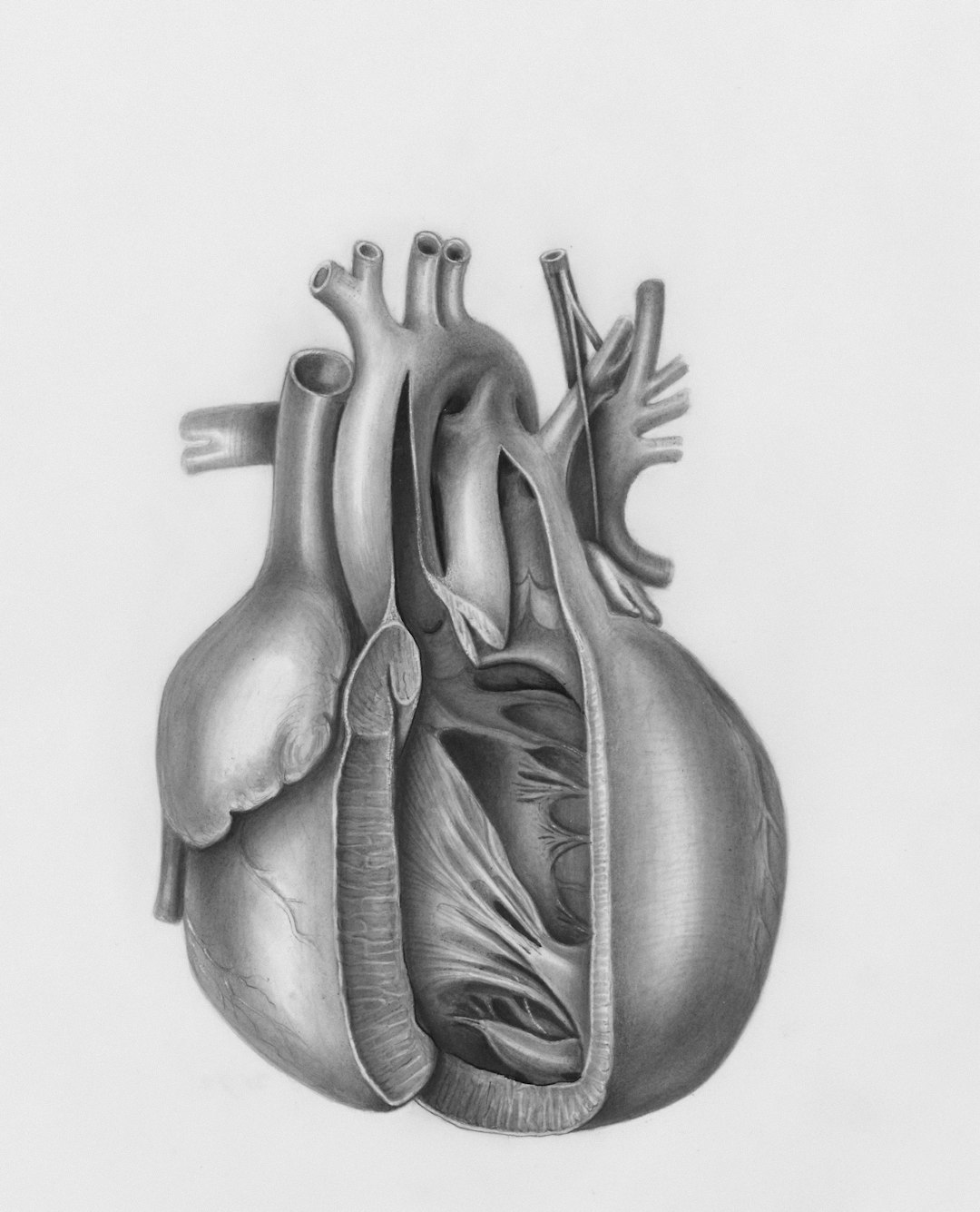 Image of a heartbeat monitor