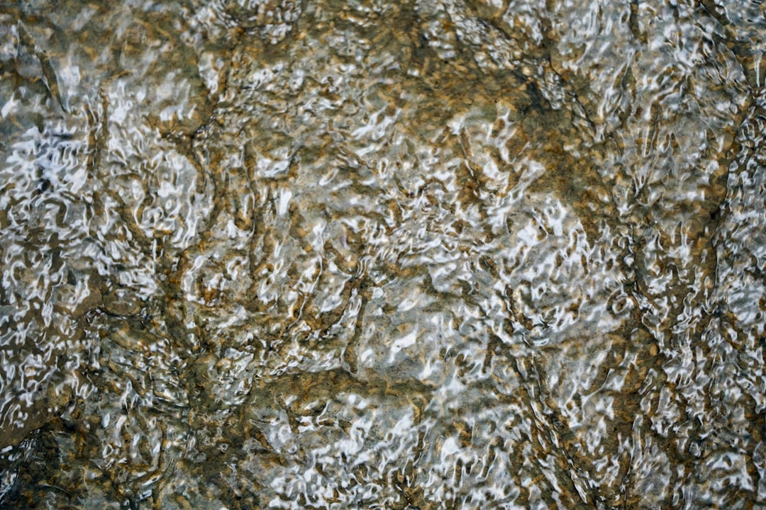 zirkonyum kaplama