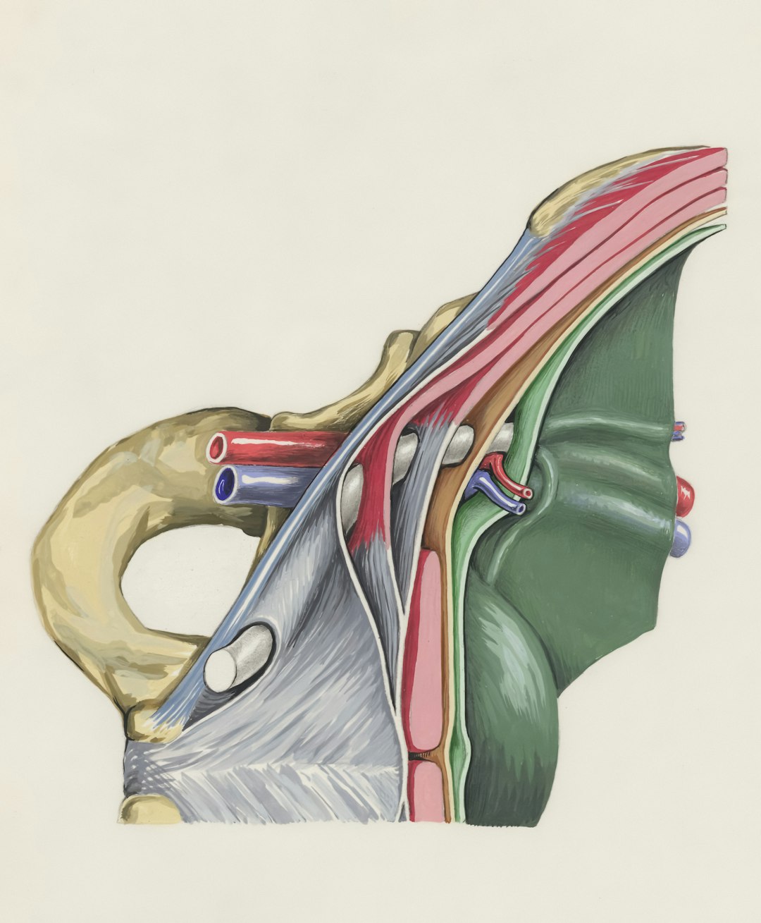 kol kırığı fractur