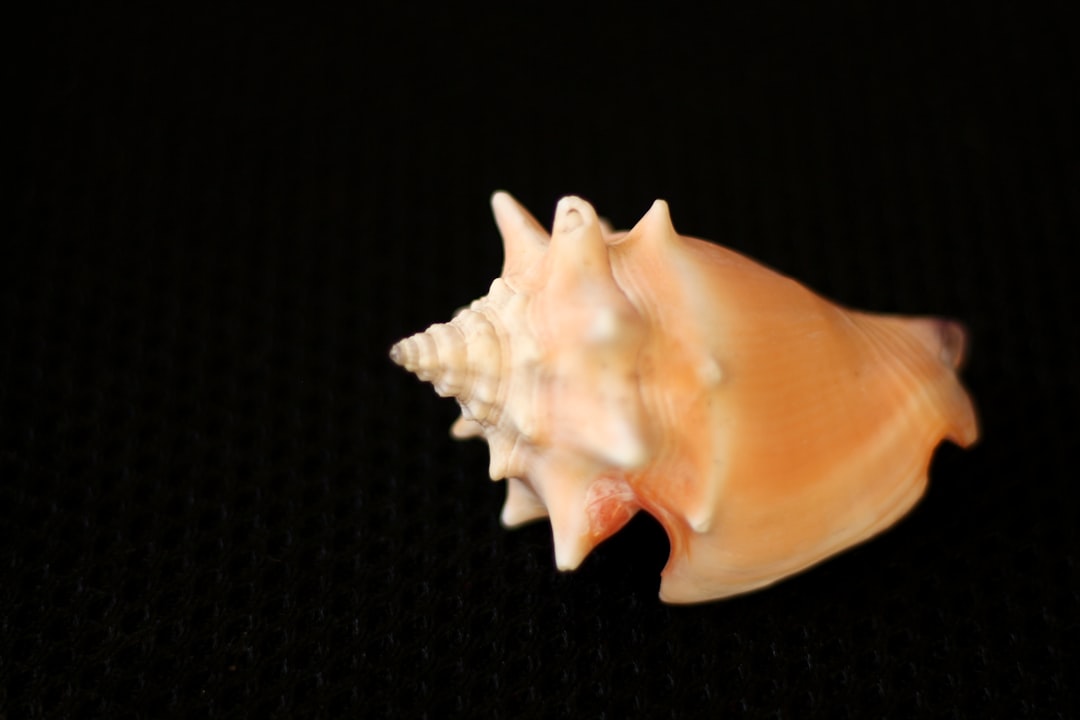 Diş sağlığı